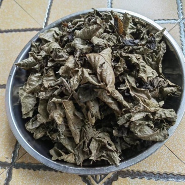 推荐青钱柳干叶质量保证量大价优欢迎来电咨询下单