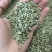 荷叶茶2025年新荷叶颗粒微山湖区荷叶茶加工厂
