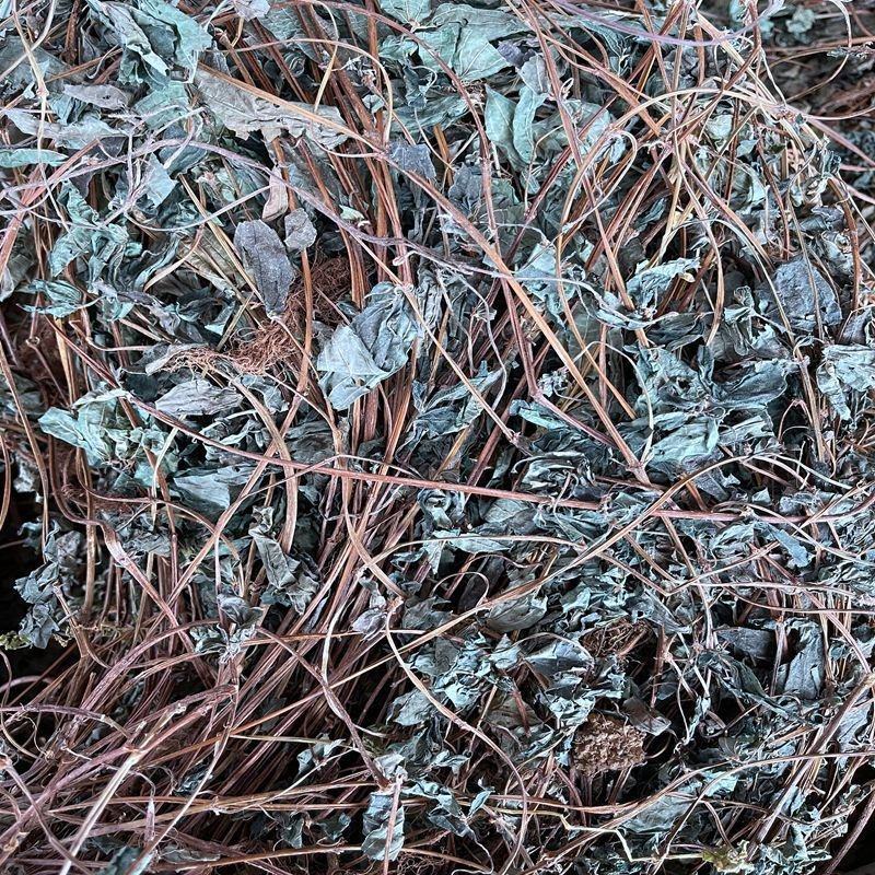 雾水葛中草药雾水葛草糯米草糯米藤