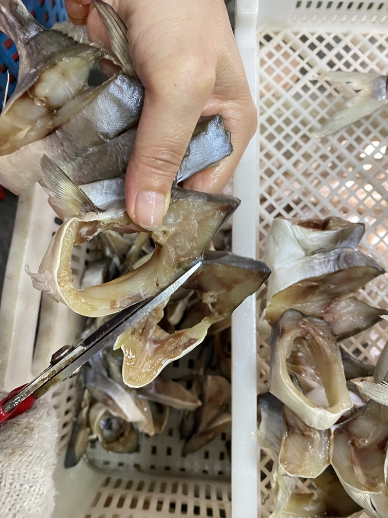 金鲳鱼干（纯肉）250克一盒金鲳鱼干批发电商实体店铺