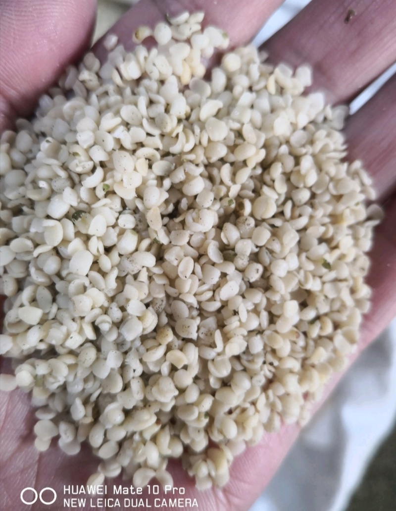火麻仁干货选货2斤起包邮量大从优