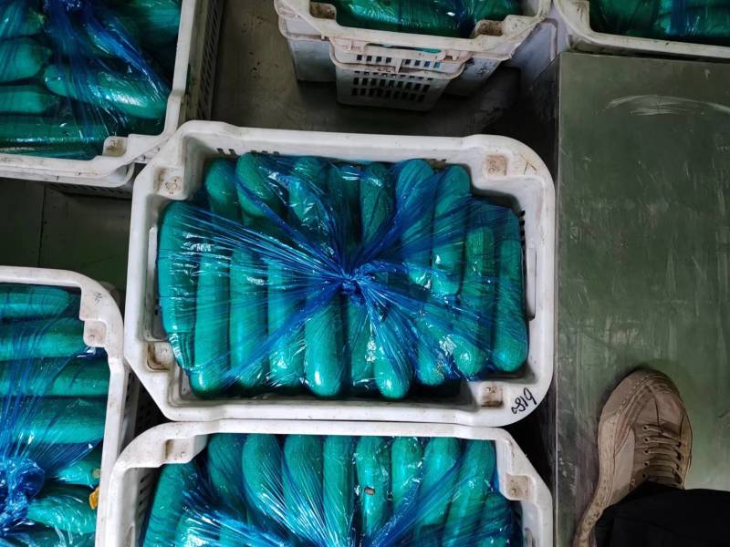 优选西葫芦，西葫芦基地直发，品质优良，诚信商家，欢迎来电