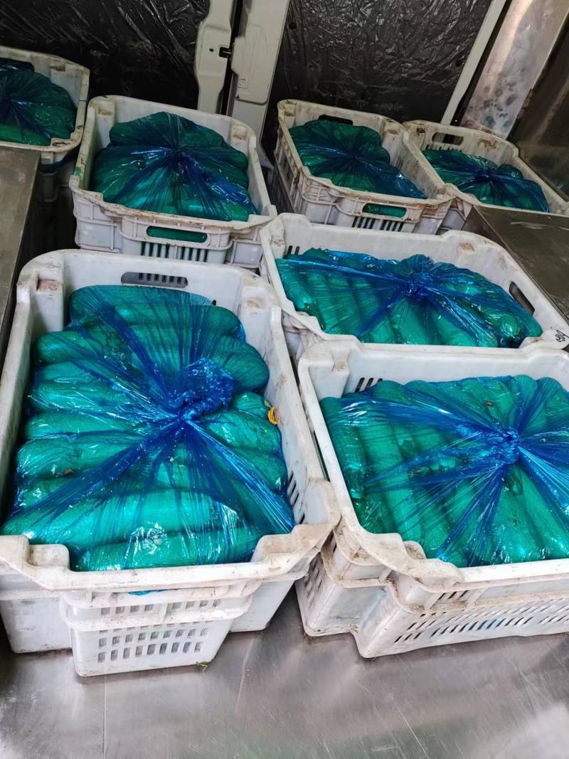 优选西葫芦，西葫芦基地直发，品质优良，诚信商家，欢迎来电