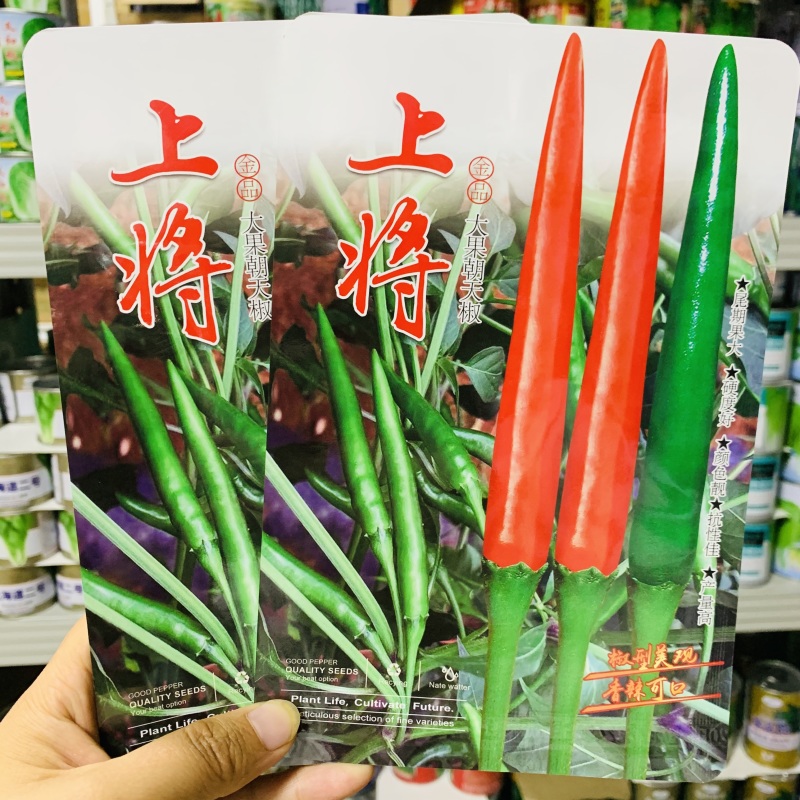 新品种上将朝天椒种子大果型朝天椒种籽青红两用辣度高硬度好
