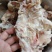 纯干大块筋头巴脑，出秤率高，舒适酒店均可