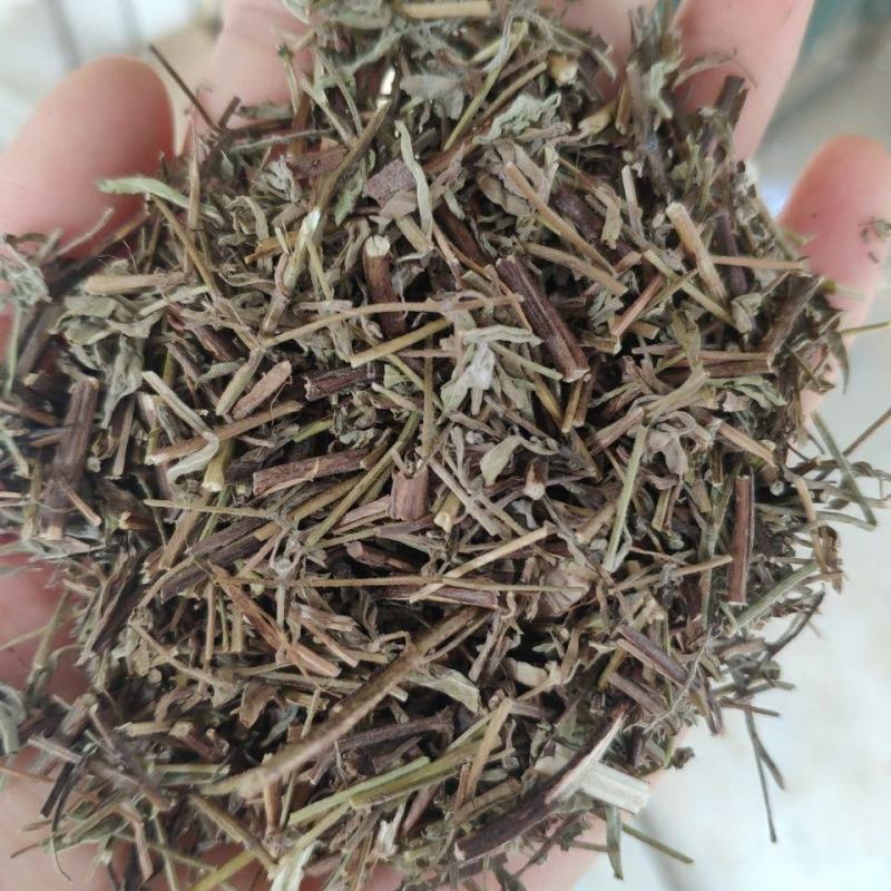 中药材香薷香茹
