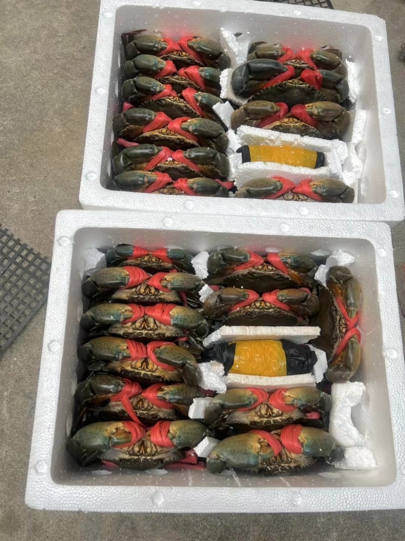 青蟹