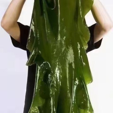 干海带