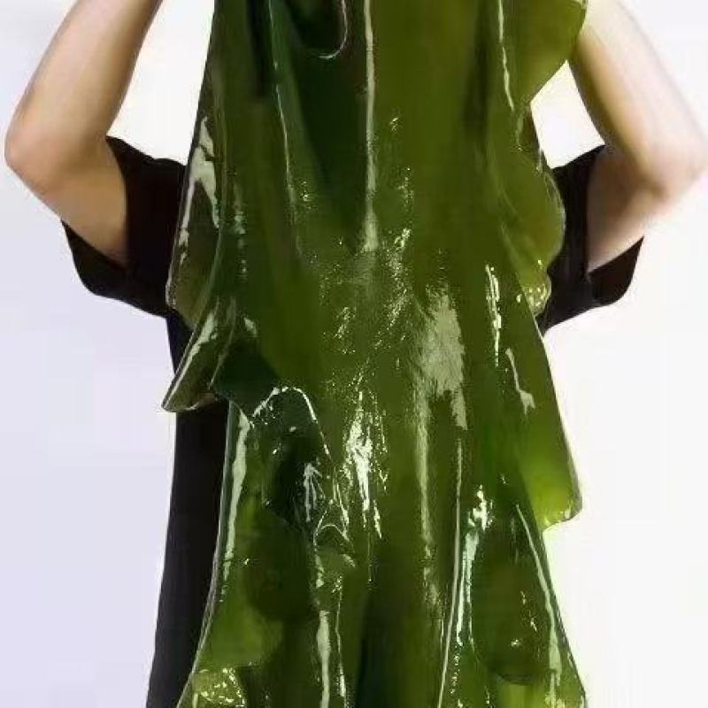 干海带
