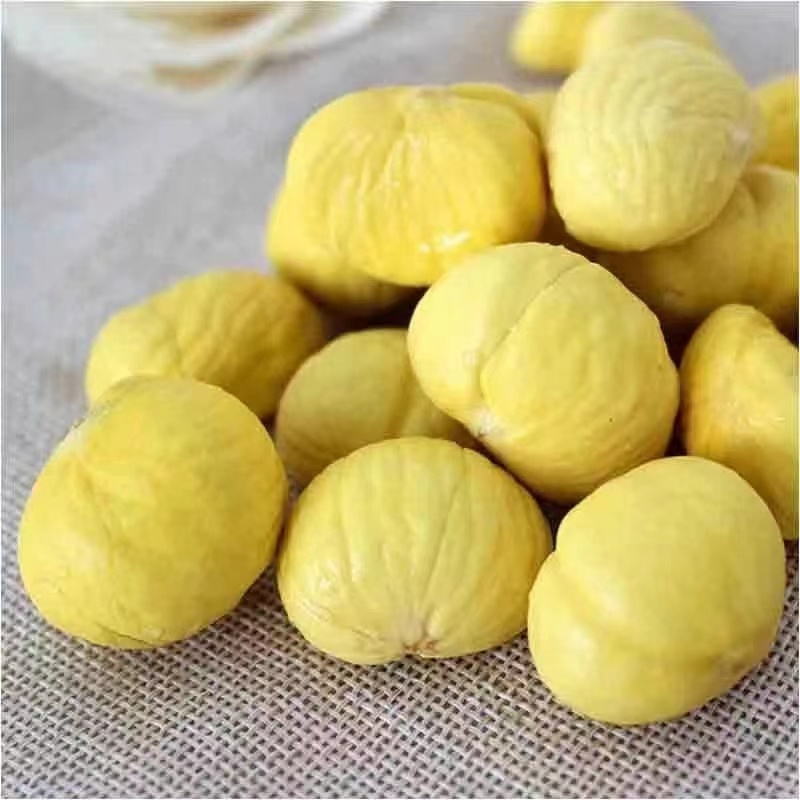 云南新板栗，请联系我