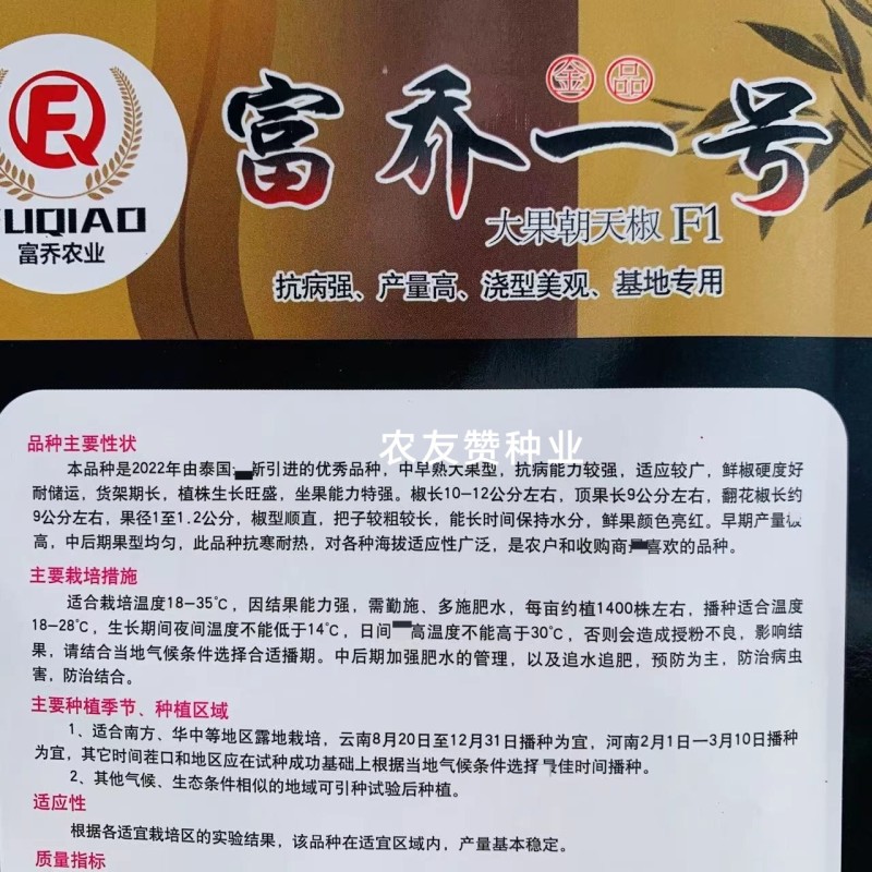 云南热卖富乔一号辣椒大果朝天椒种子高产抗病泰国朝天椒种籽