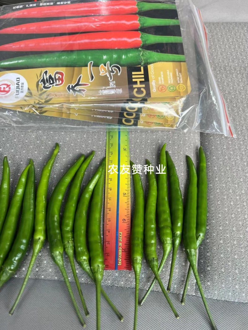 云南热卖富乔一号辣椒大果朝天椒种子高产抗病泰国朝天椒种籽