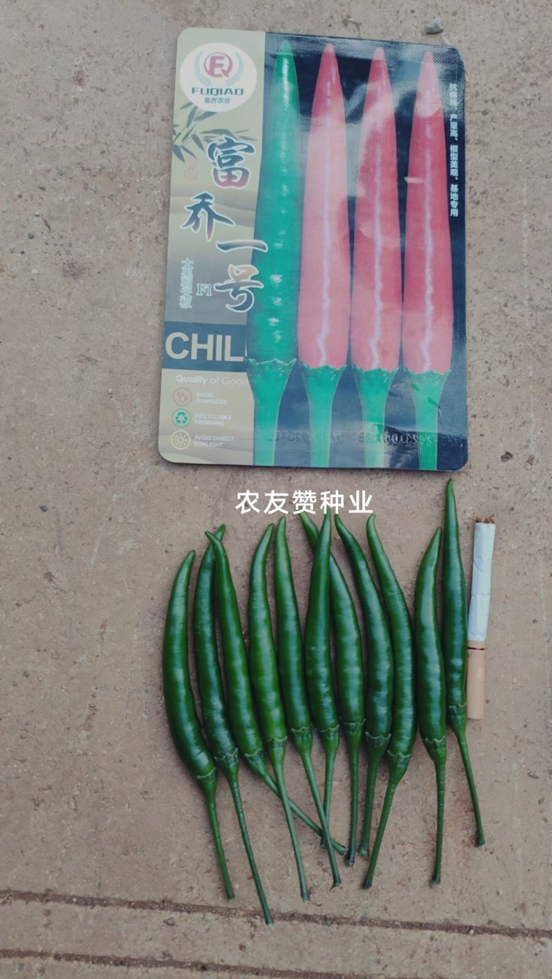云南热卖富乔一号辣椒大果朝天椒种子高产抗病泰国朝天椒种籽