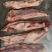 羔羊带骨手把肉