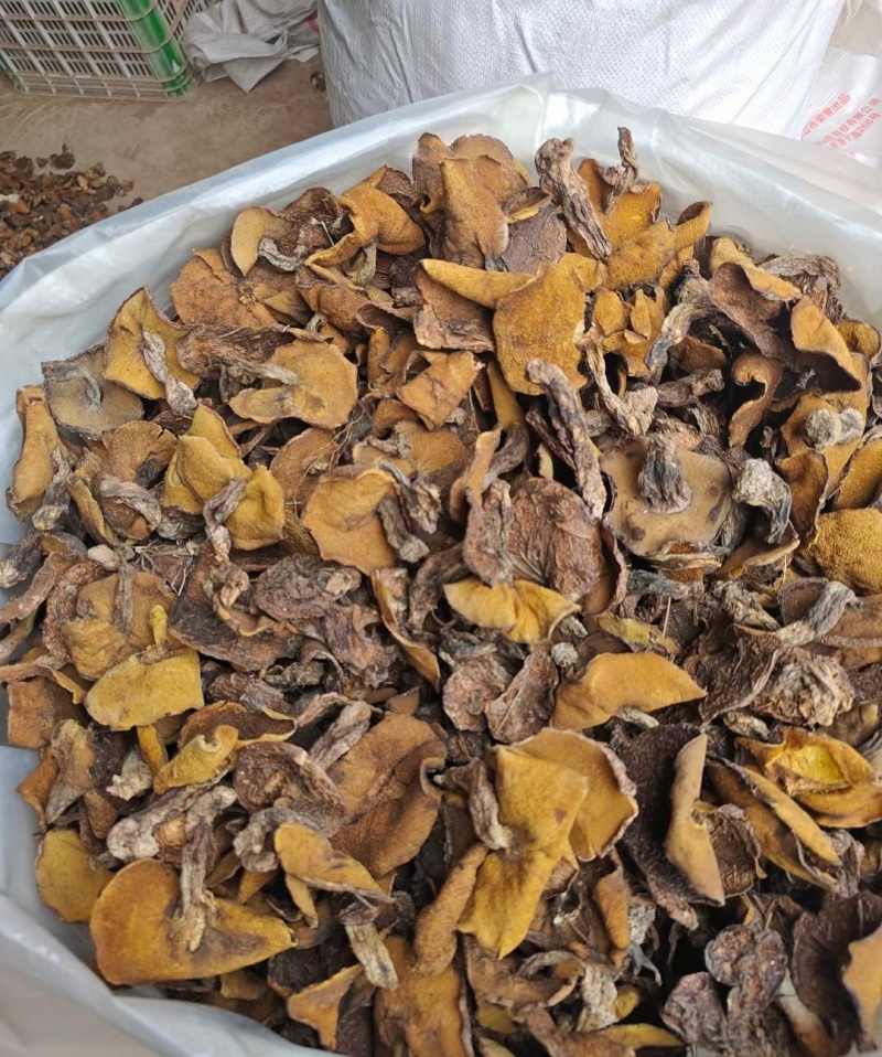 精品辽西烤干自然干松蘑