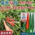 富乔9号大果型朝天椒种子青红两用硬度好油亮型早熟特大号