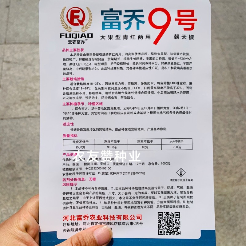 富乔9号大果型朝天椒种子青红两用硬度好油亮型早熟特大号