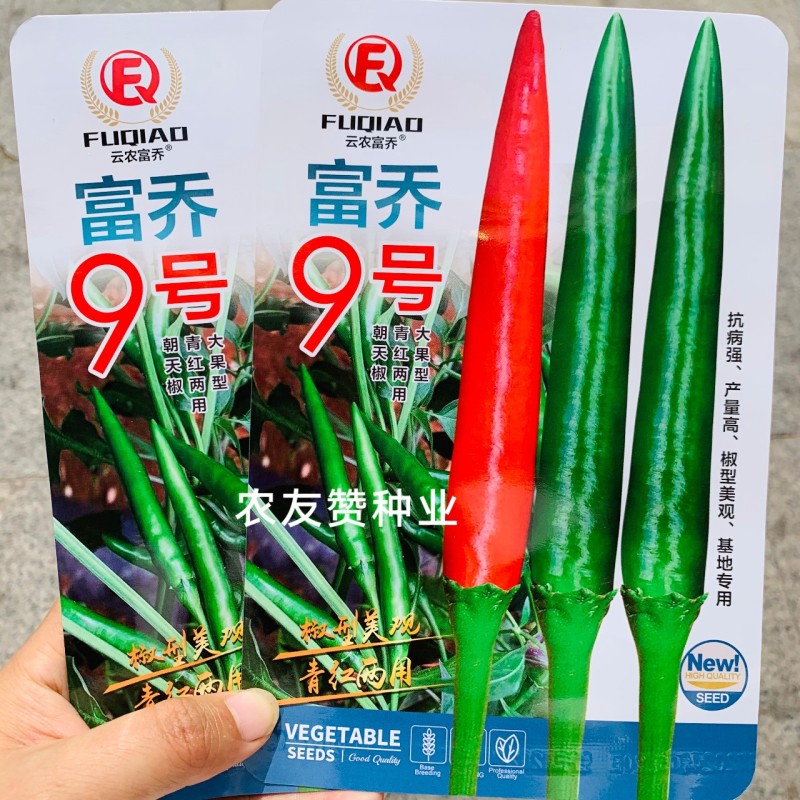 富乔9号大果型朝天椒种子青红两用硬度好油亮型早熟特大号