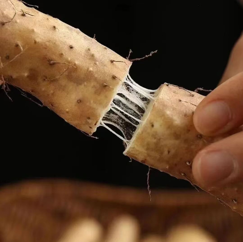 山药切开后黏液丰富