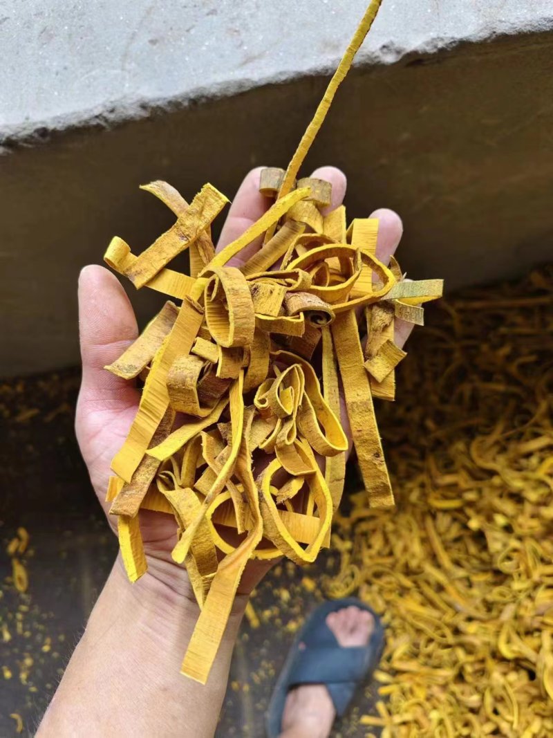 黄柏丝