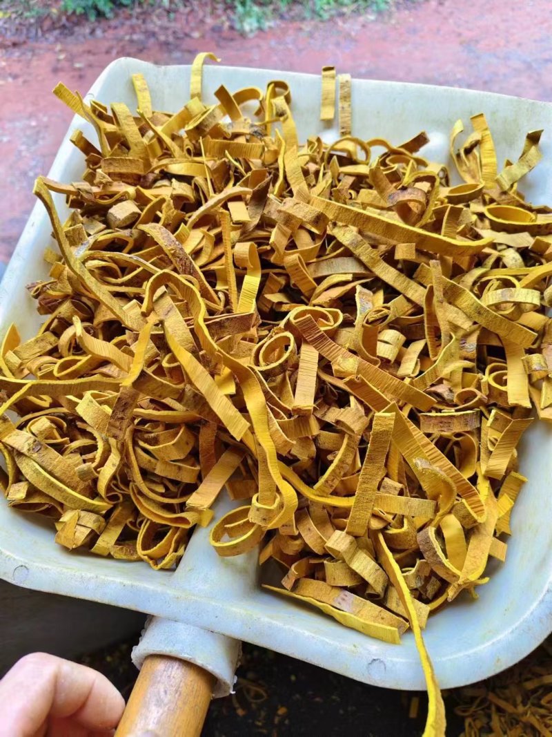 黄柏丝
