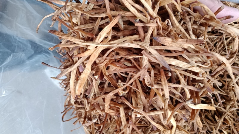 【好货推荐】湖南祁东县黄花菜西北特级干黄花菜全年供货