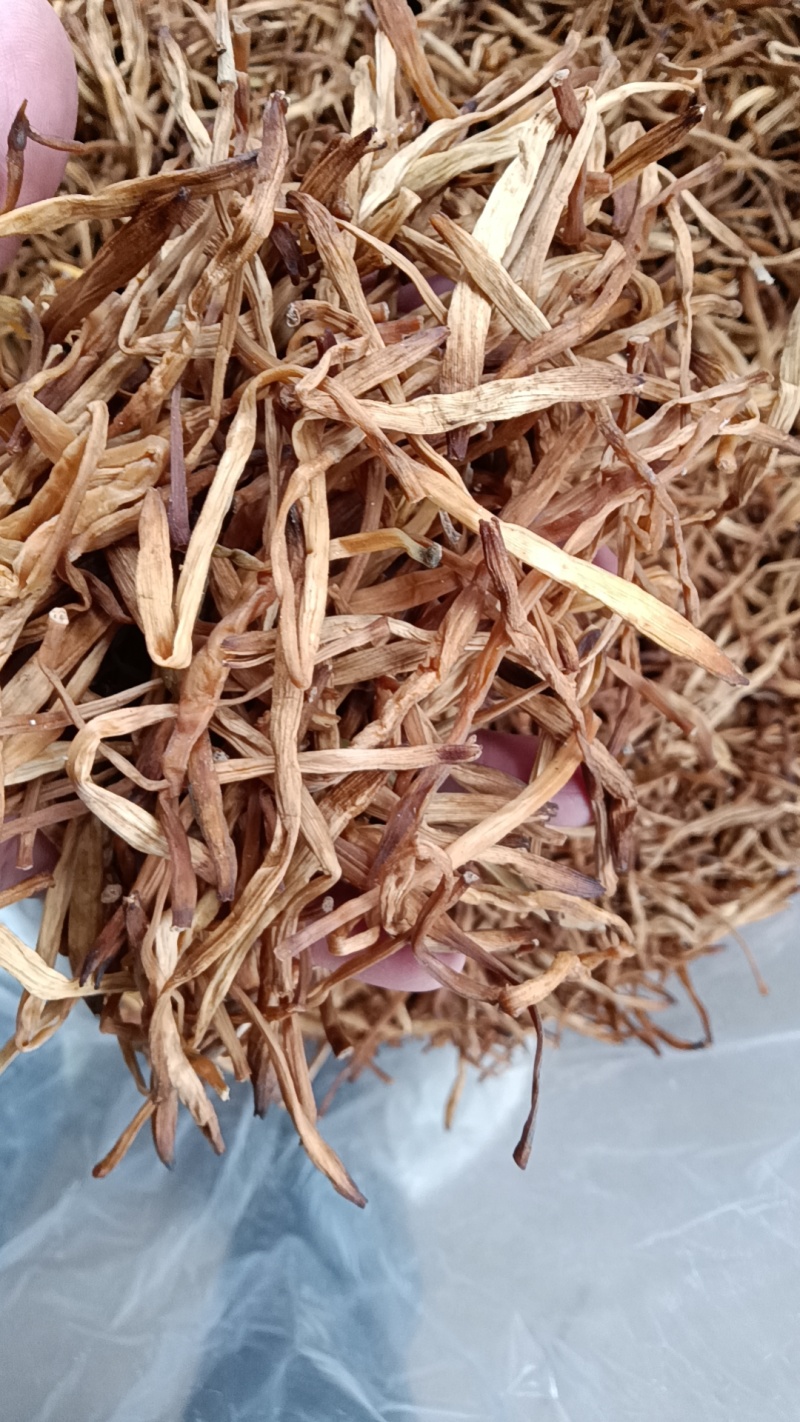 【好货推荐】湖南祁东县黄花菜西北特级干黄花菜全年供货