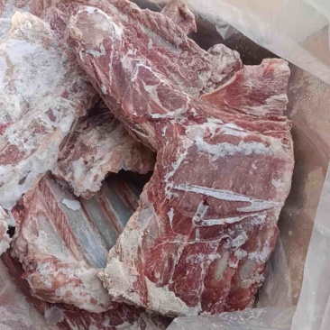 方肩骨厂家直发，一手货源，价格优惠，欢迎采购