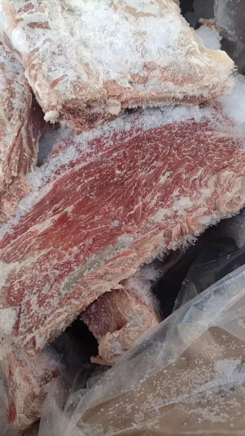 方肩骨厂家直发，一手货源，价格优惠，欢迎采购
