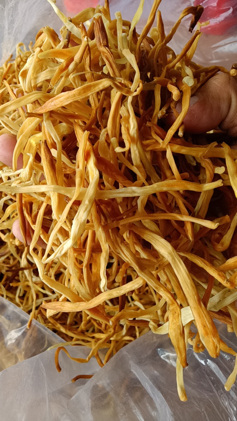 【好货推荐】新货二级祁东黄花菜线下有实体店全年供货