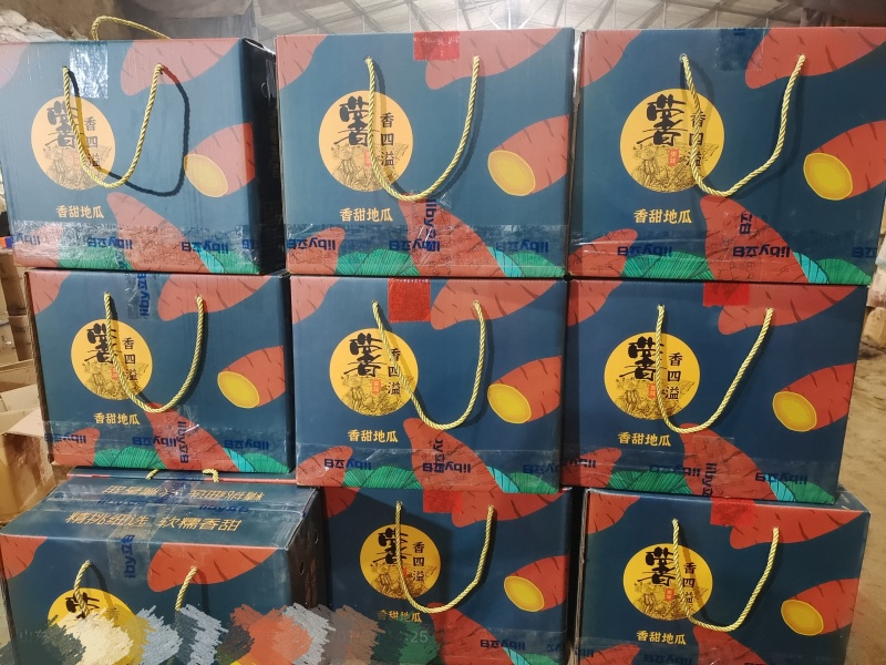 精品烟薯25红薯蜜薯冰糖心正宗沙地北方流油红心地瓜番薯