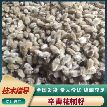 辛夷花来自800里伏牛山脉，年产值占世界70%以上。