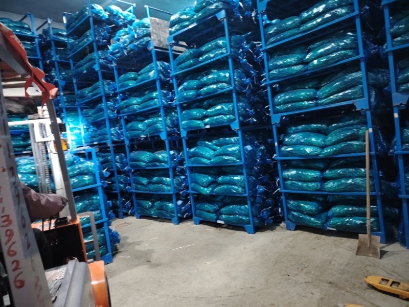 河北邯郸魏县蒜苔大量供应蒜薹上市一手货源诚信经营