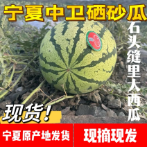 宁夏精选硒砂瓜，双红瓤甜度高耐运输，产地直发批发市场直供