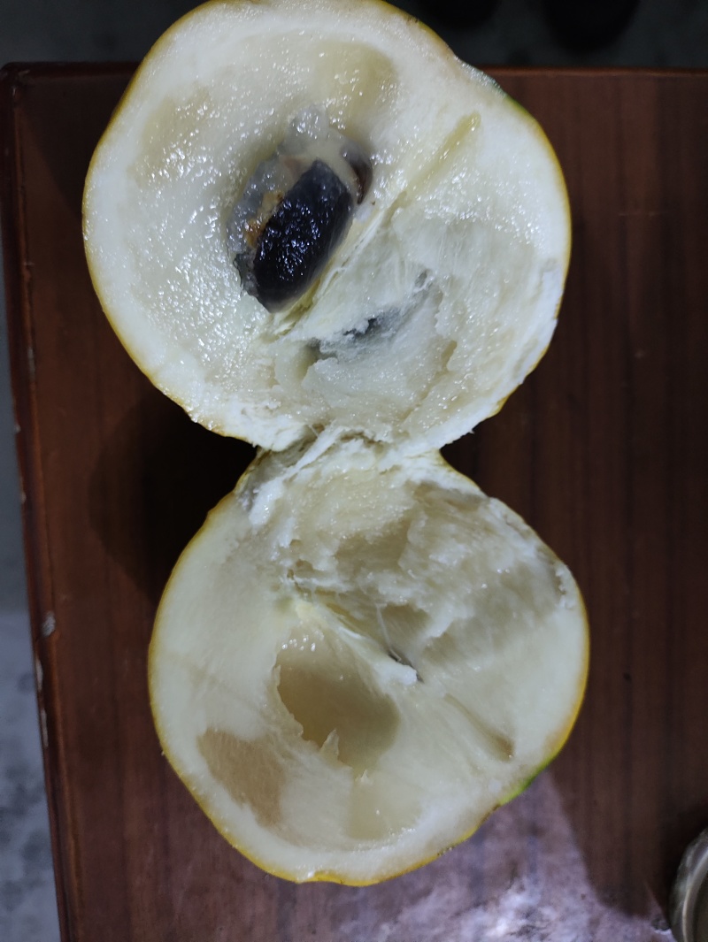 黄晶果
