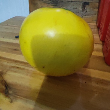 黄晶果