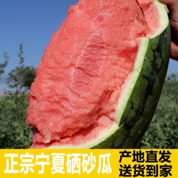 热卖【牛商推荐】宁夏硒砂瓜，石头缝里蹦出来石头瓜大量上市