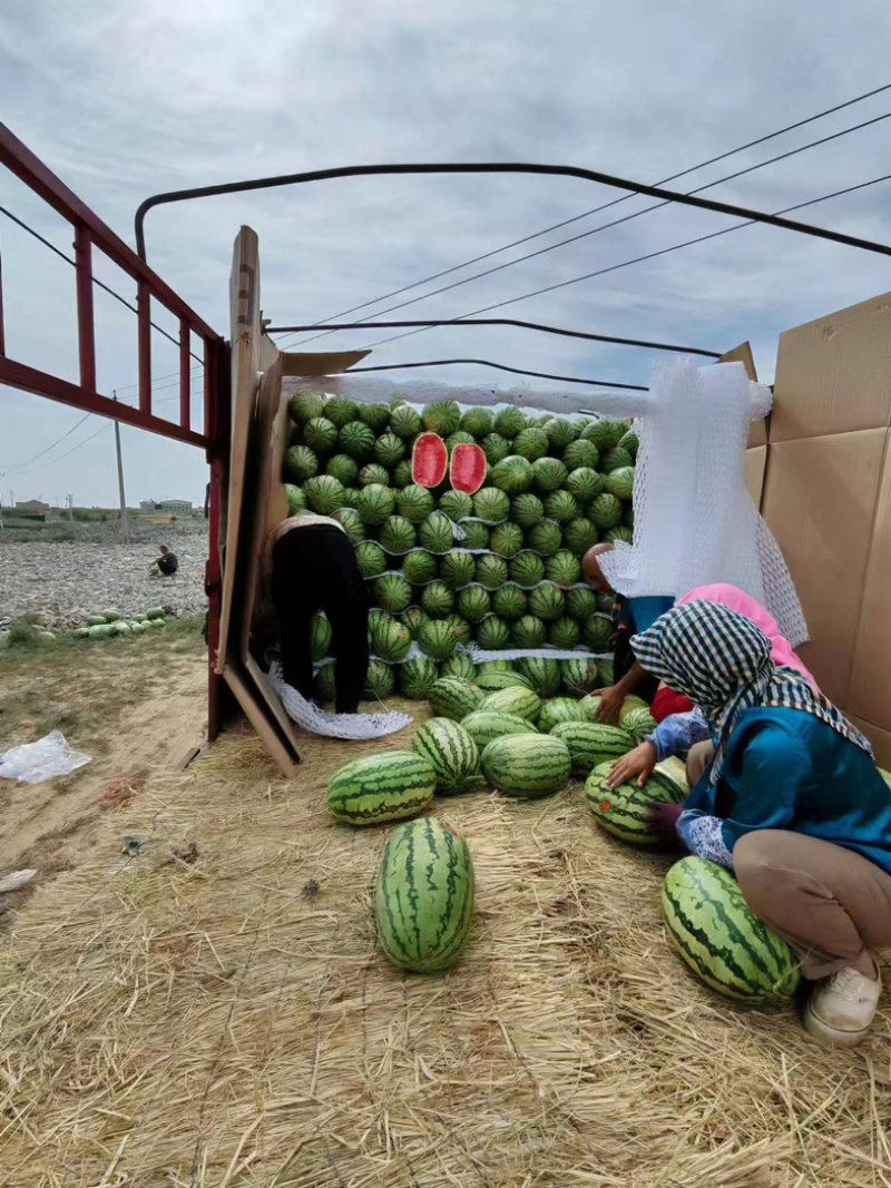 【牛商优选】硒砂瓜产地直发，一手货源，供应商超，电商团队