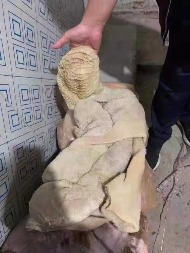 熟牛肚，五香全熟牛肚，原味牛一件代发量大从优！