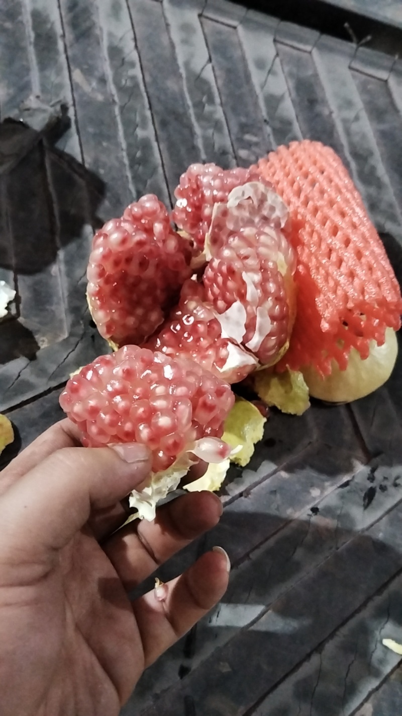 会理突尼斯软籽石榴代发全国质量保证一件代发大量供应
