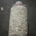 秀珍菇菌种培育完成到手既可以出菇的菌种，先到先得