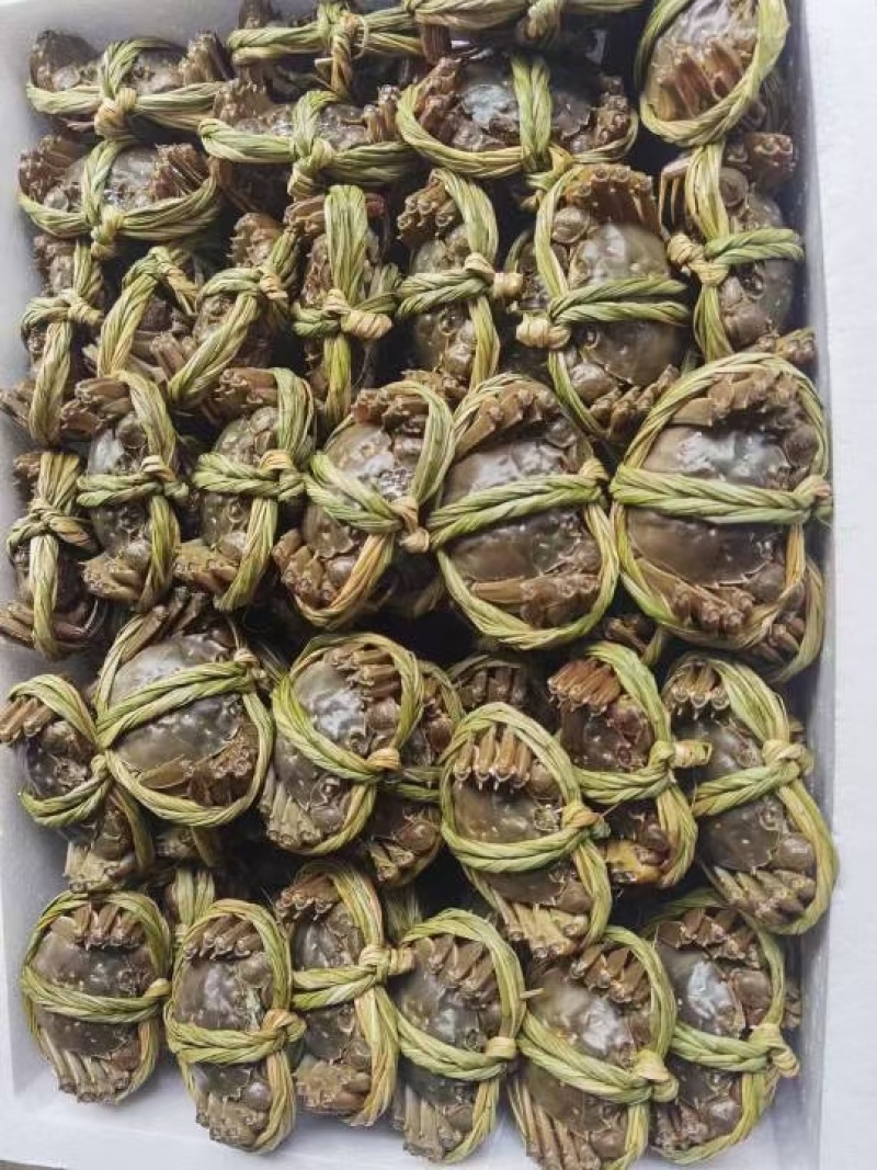 6月黄精品大闸蟹