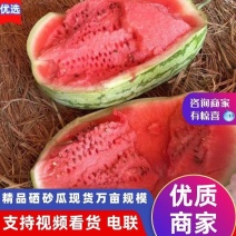 硒砂瓜/宁夏石头瓜/沙地瓜/金城5号/金花1号/金花6号