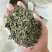 日照绿茶、量大从优，酒店商业用茶