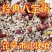特价5斤八宝粥原料批发五谷杂粮组合粗粮早餐腊八粥材料