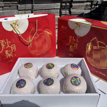 【整车发货】莱阳秋月梨，常年承接档口，市场，各自规格礼盒