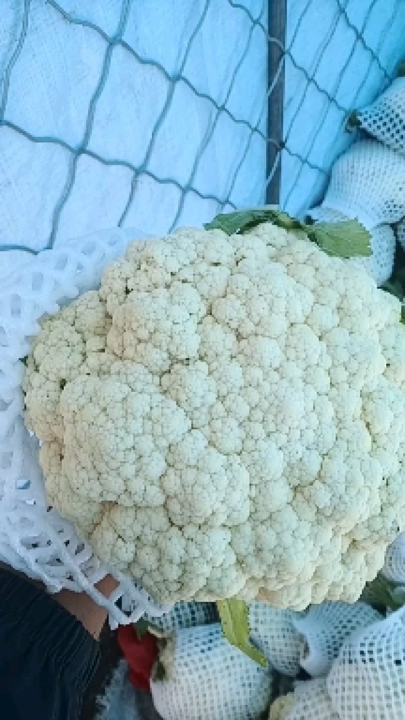 80大量上市