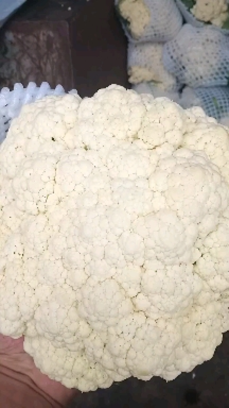 80大量上市