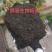 酵素生物鸡粪有机质40有效活益菌2亿/克破除板结