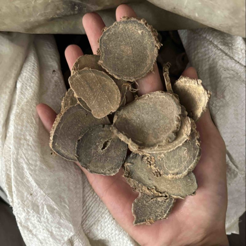 莪术文术保庆药业批发莪术实物拍摄